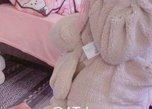AT鲨与御姐鲨:在图集中寻找别样的色彩